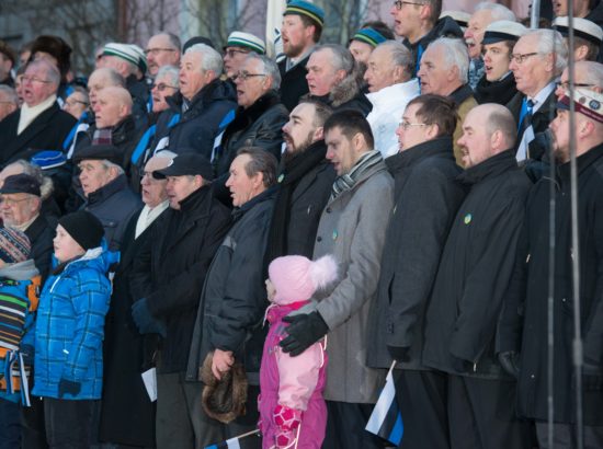 Eesti Vabariigi 99. aastapäeva tähistamine